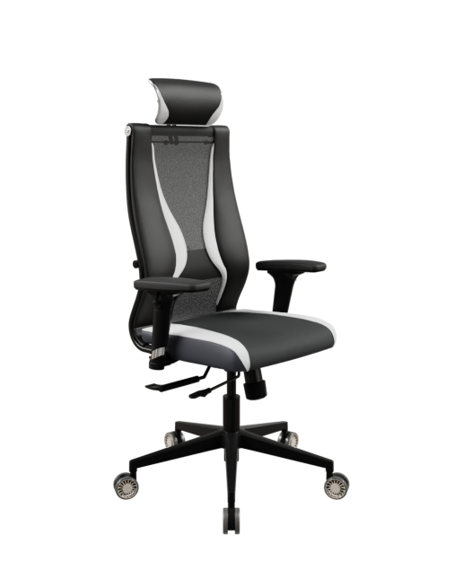 кресло ERGOLIFE SynchroSit 10 B2-170D - T+UMF(SY271)+Extra