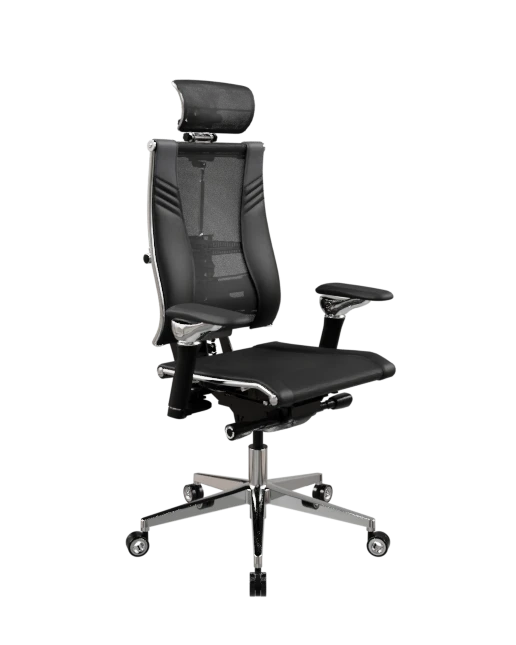 Yoga Spine Triumph B2