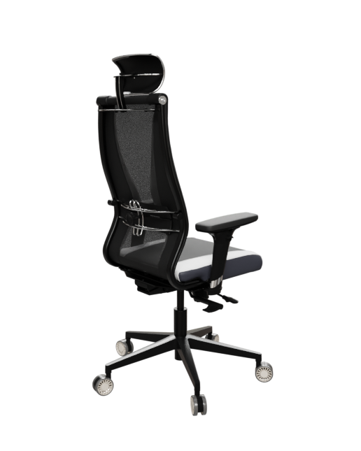 кресло ERGOLIFE SynchroSit 10 B2-170D - T+UMF(SY271)+Extra