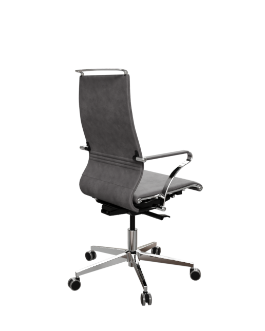 кресло ERGOLIFE SynchroSit Well B2-195K - GoyaLE